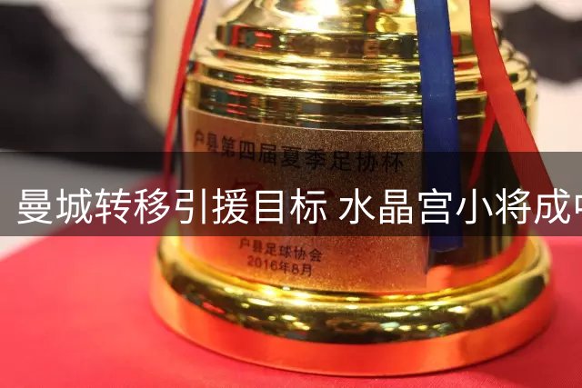 曼城转移引援目标 水晶宫小将成中场补强新选择